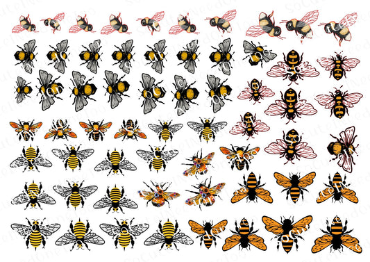 Bee Selection Waterslide Decals