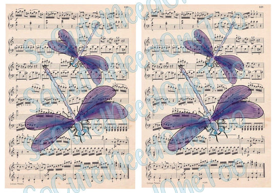 DragonFly Music Paper on Clear/White Waterslide Paper Ready To Use - SoCuteINeedOneToo