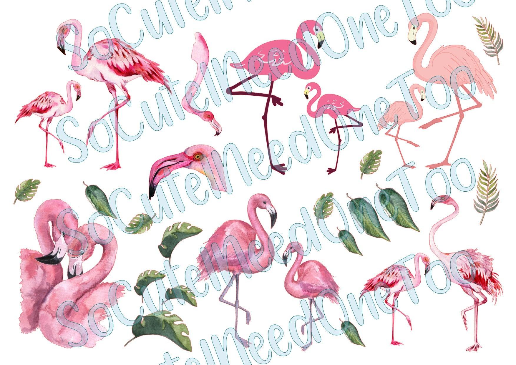Flamingo Options on Clear/White Waterslide Paper Ready To Use - SoCuteINeedOneToo