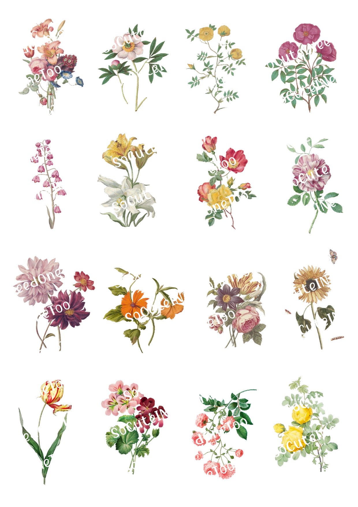 Flowers - Several Types on Clear/White Waterslide Paper Ready To Use - SoCuteINeedOneToo
