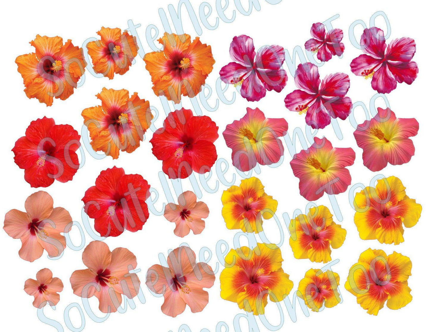 Hibiscus Flowers on Clear/White Waterslide Paper Ready To Use - SoCuteINeedOneToo