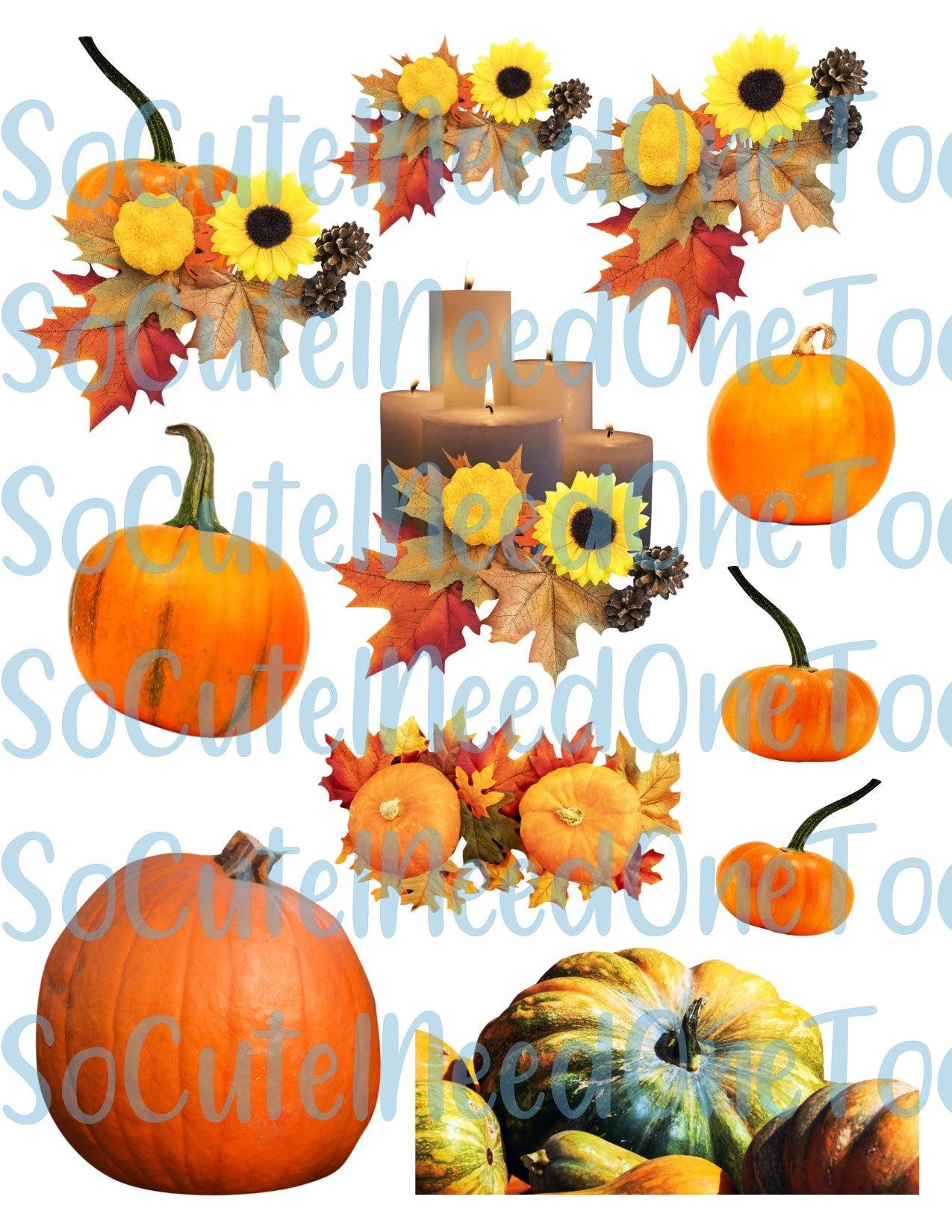 Pumpkin Harvest On Clear/White Waterslide Paper Ready To Use - SoCuteINeedOneToo