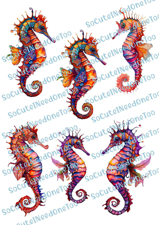 Seahorse Multicolored on Clear/White Waterslide Paper - SoCuteINeedOneToo