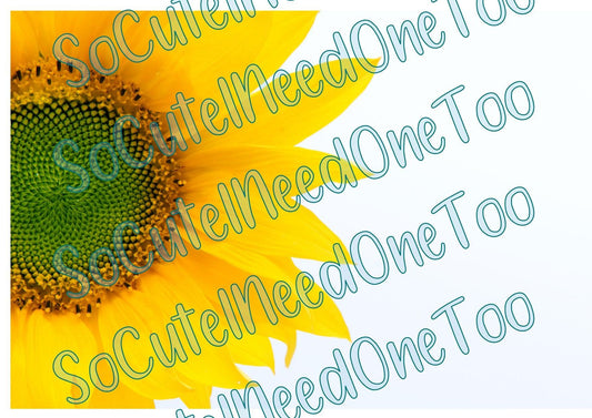 Sunflower - Half A Flower Waterslide Wrap - SoCuteINeedOneToo